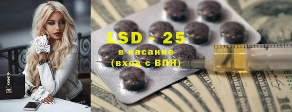 индика Аркадак