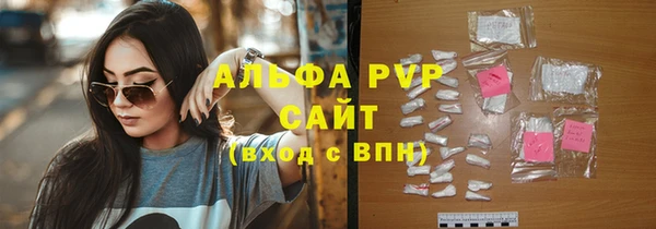 индика Аркадак