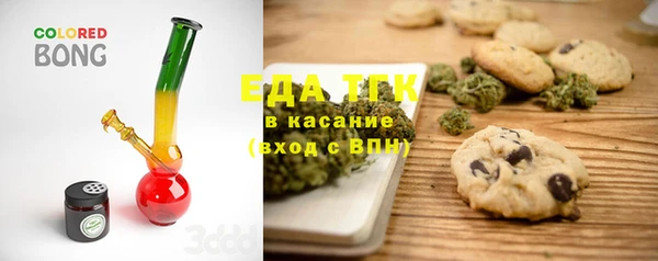 индика Аркадак