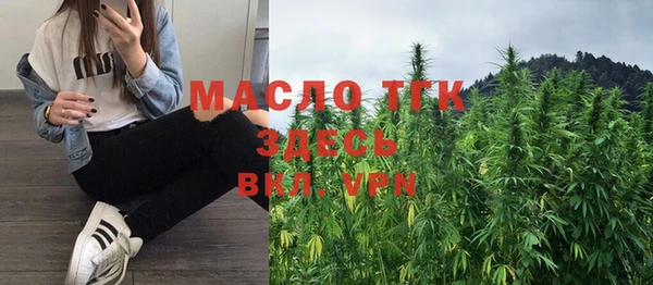 индика Аркадак