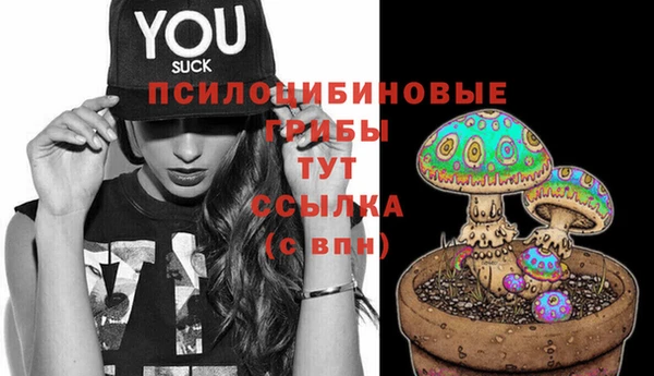 дурь Армянск