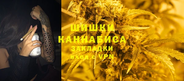 индика Аркадак