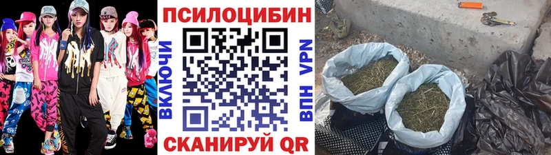 Псилоцибиновые грибы MAGIC MUSHROOMS Рудня