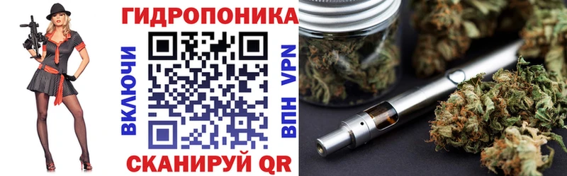 Бошки марихуана ГИДРОПОН  Рудня 
